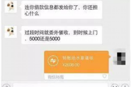 宜阳宜阳的要账公司在催收过程中的策略和技巧有哪些？